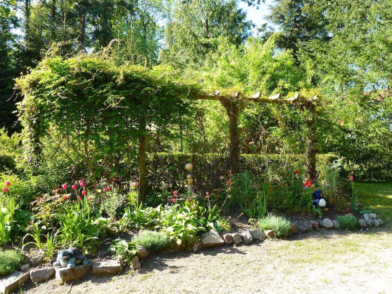 Ferienwohnung Villa Am Haussee Feldberger Seenlandschaft Kültér fotó
