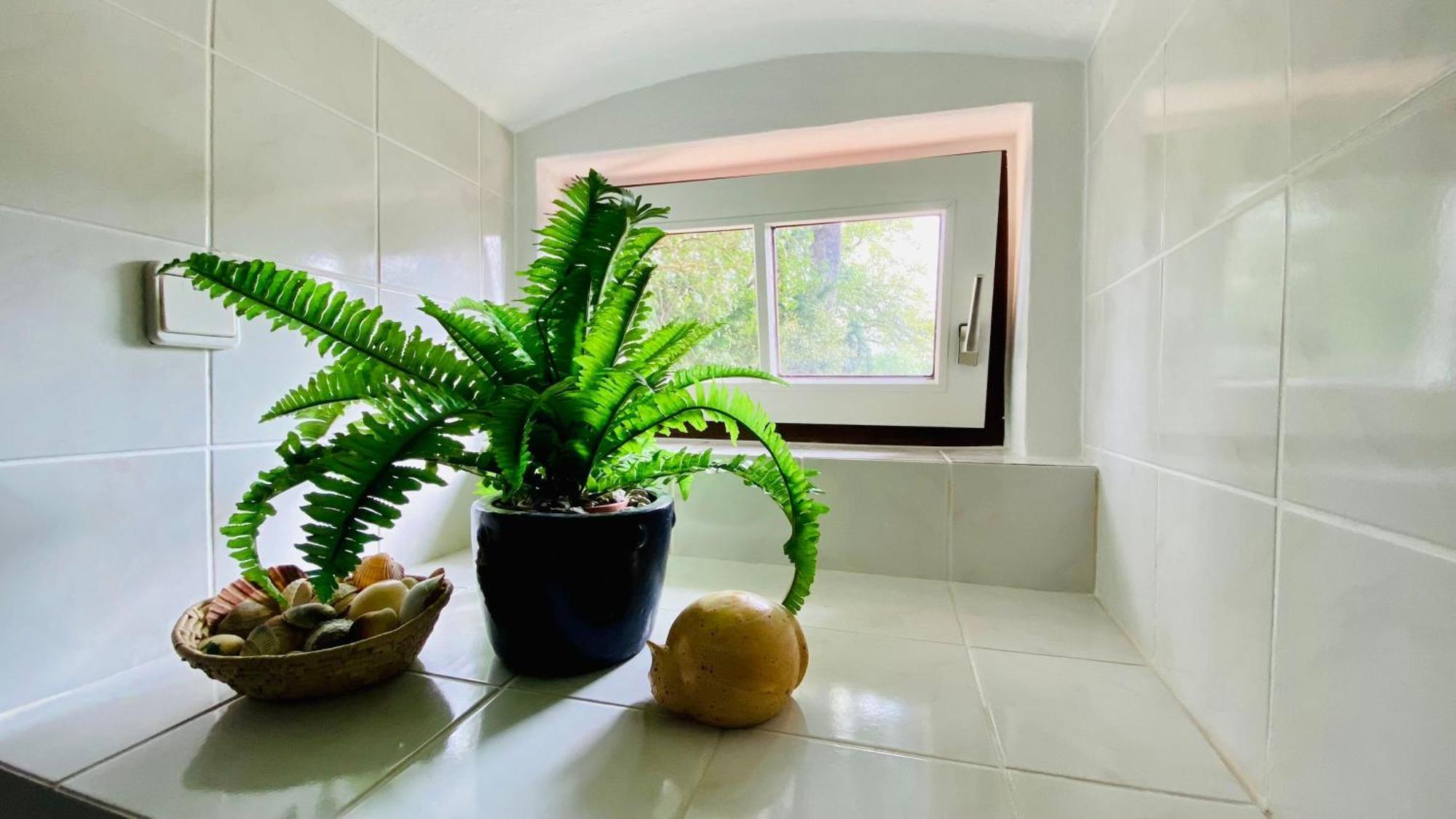 Ferienwohnung Villa Am Haussee Feldberger Seenlandschaft Kültér fotó