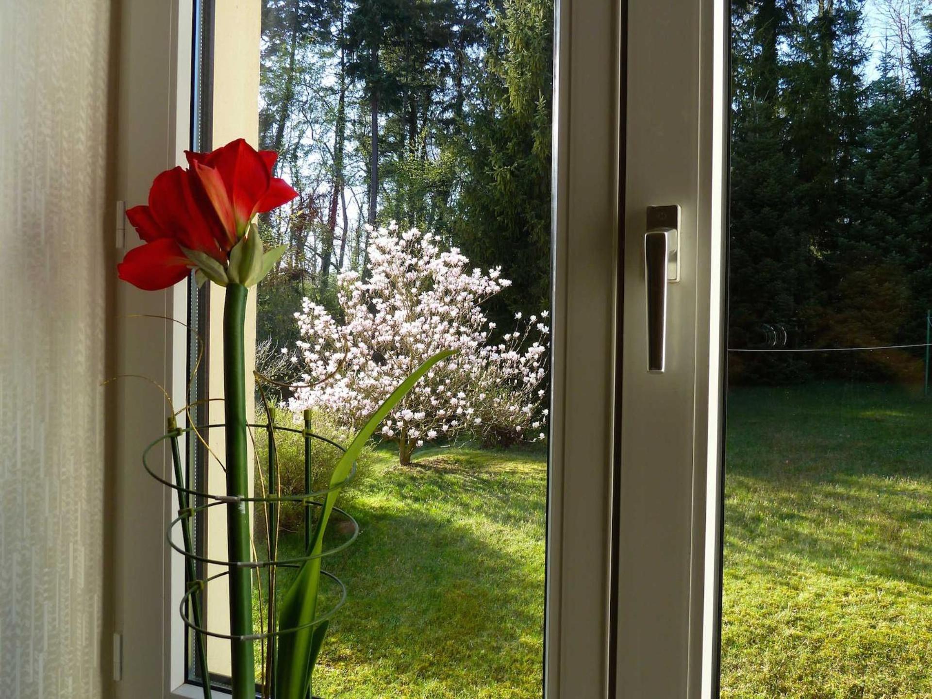 Ferienwohnung Villa Am Haussee Feldberger Seenlandschaft Kültér fotó